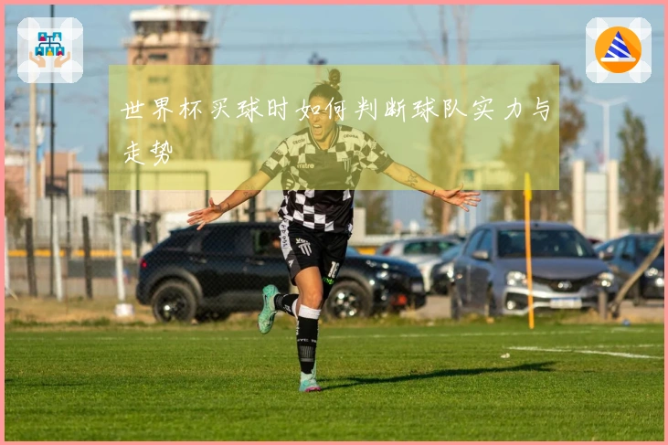 世界杯买球时如何判断球队实力与走势
