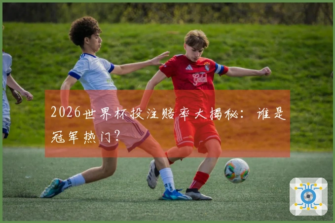 2026世界杯投注赔率大揭秘：谁是冠军热门？