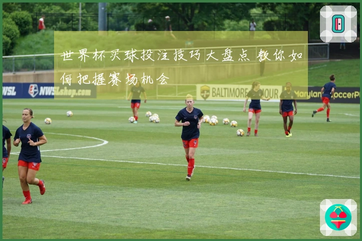 世界杯买球投注技巧大盘点 教你如何把握赛场机会