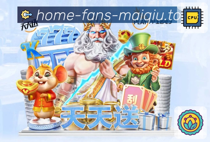 奖项证书